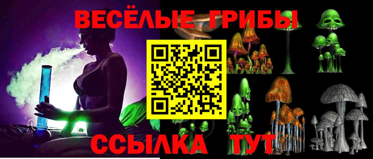Псилоцибиновые грибы мицелий Будённовск