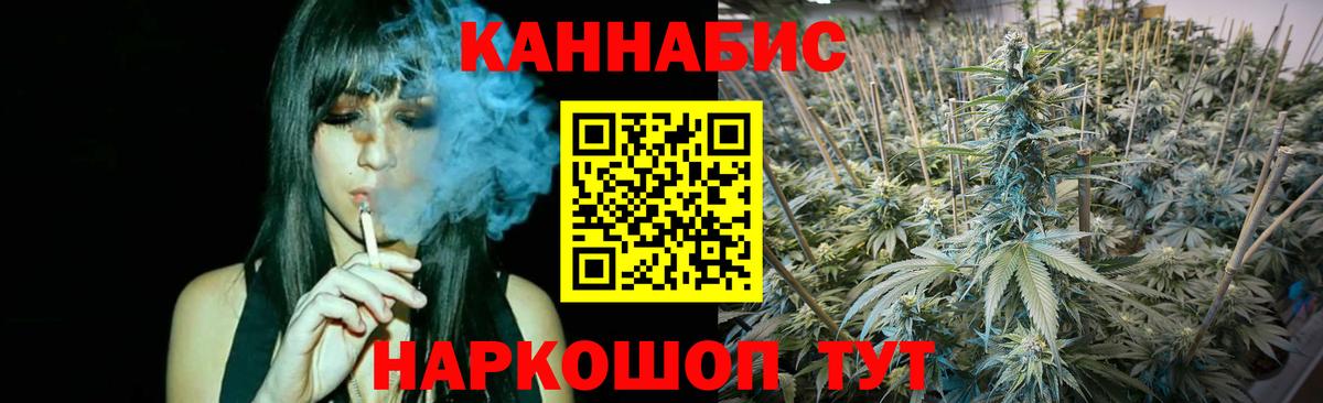 Бошки Шишки план Будённовск